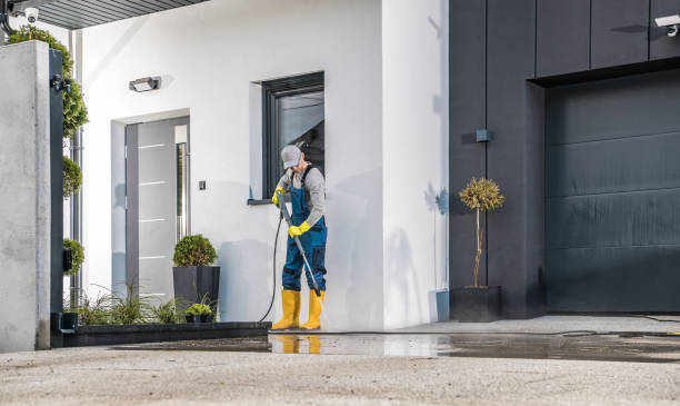Best Dumpster Area Cleaning  in Orangeburg, NY